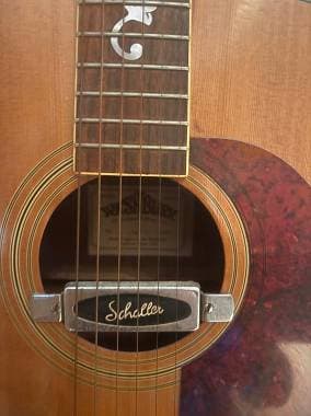 Washburn Limited edition 95