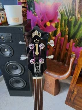 Guild Fretless