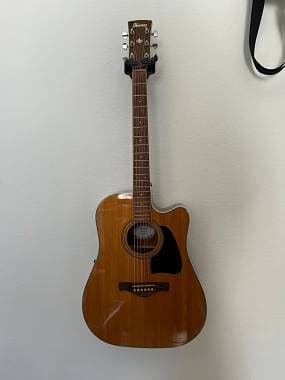 Ibanez AW-70 Ece Nat