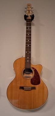 Seagull Seagull Performer CW mini jumbo