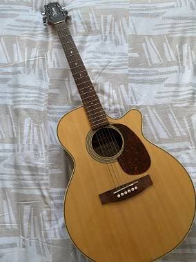Takamine EG260C G Series