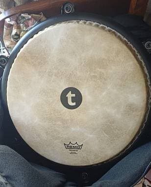 Coppia Congas Thomann Tour 11,75 e 12,5 + Borse e Supporti