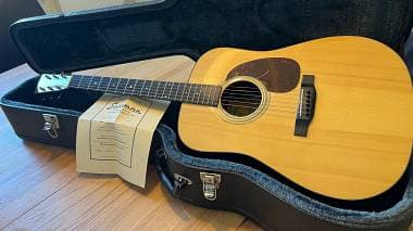 Eastman E10D (All solid) amplificata fishman matrix infinity
