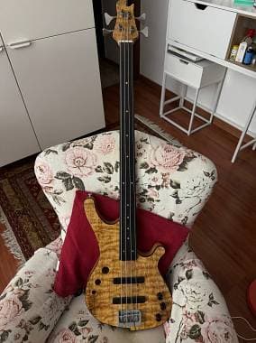 Fretless 4 corde semi acustico
