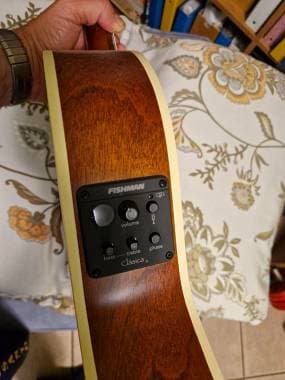 Godin Arena CW Classica II