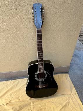 Eko Guitars Eko 12 corde