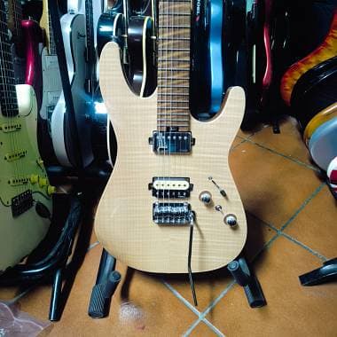 Harley Benton Fusion-IV HH MN FNT