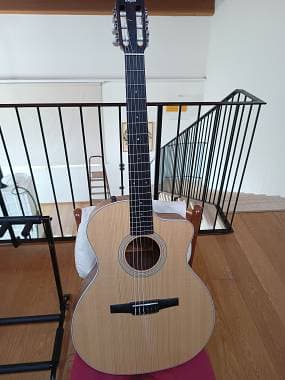 Taylor 214CE-N