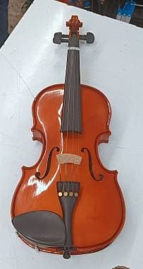 Domus Musica Rialto Violino 3/4 con Custodia e Archetto