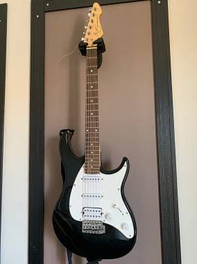 Peavey Raptor plus exp