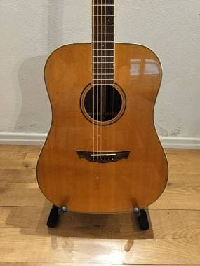 Parkwood Cort Parkwood PW310R - Dreadnought interamente massello