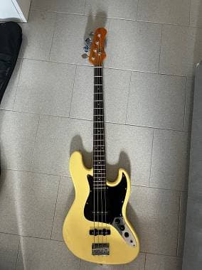 Eko EKO Guitars VJB200V