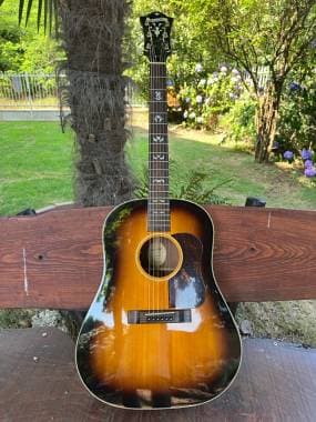 Blueridge Bg 140 con elettrificazione l.R. Baggs
