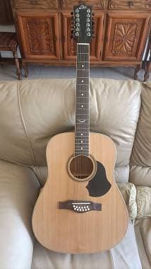 Eko Guitars Ranger 12