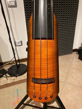 Ns steinberger NXT- a