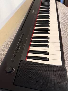 Yamaha Piaggero NP-15