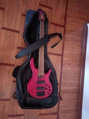 Cort B5 element