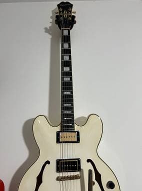 Epiphone Dot ES 355 AW