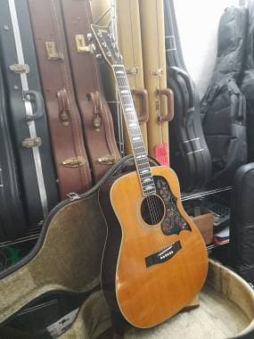 Yamaha FG 350 W