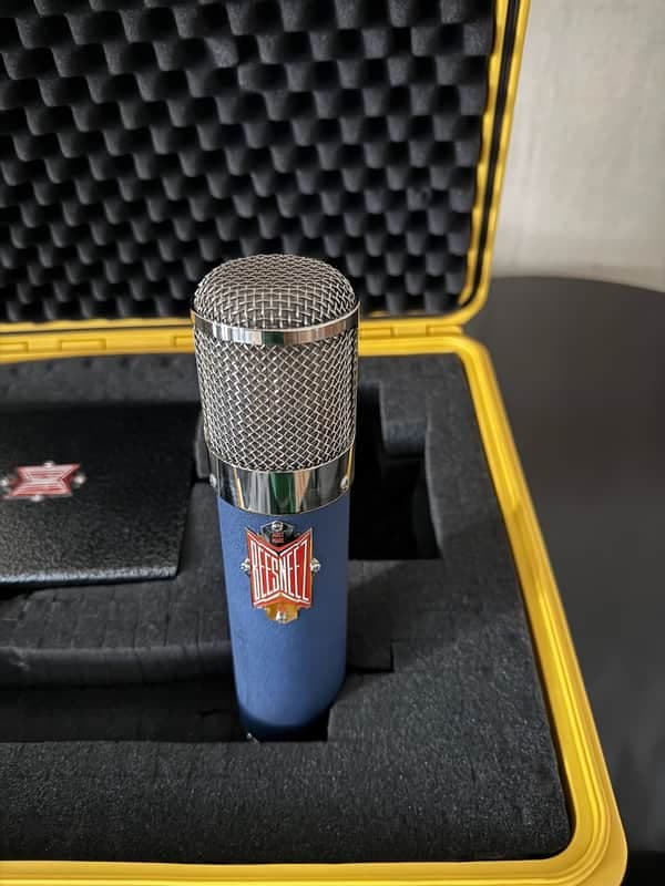 BeesNeez Microphones Mahalia
