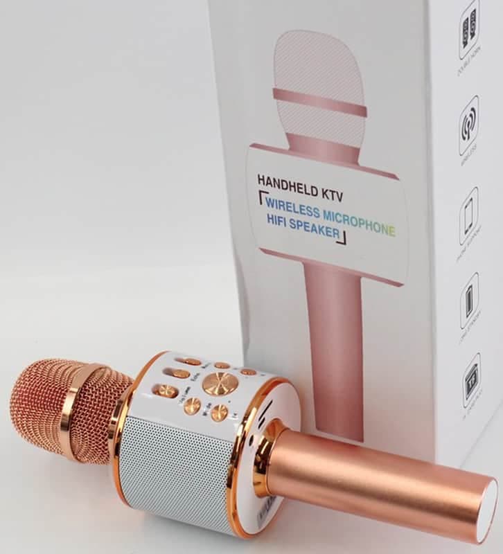 KTV HAND HELD WIRELESS MICROPHONE + SPEAKER, MULTIPLE FEATURES, ETC c2019 - WORKING