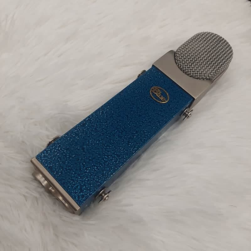 Blue Blueberry 2010s - Blue