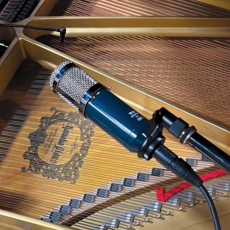 Chandler Limited TG Microphone Type L Cardioid Condensor Chandler