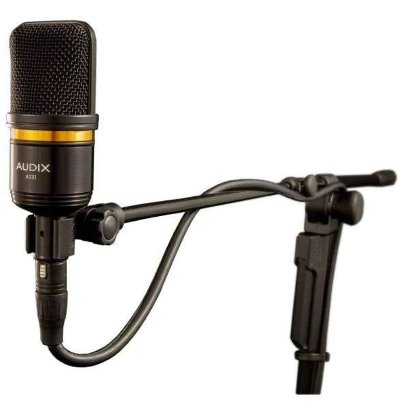 Mint Audix A231 Large Diaphragm Condenser Microphone