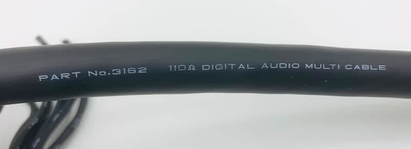Mogami 3162 8 pair Digital Audio Snake Cable 2000s