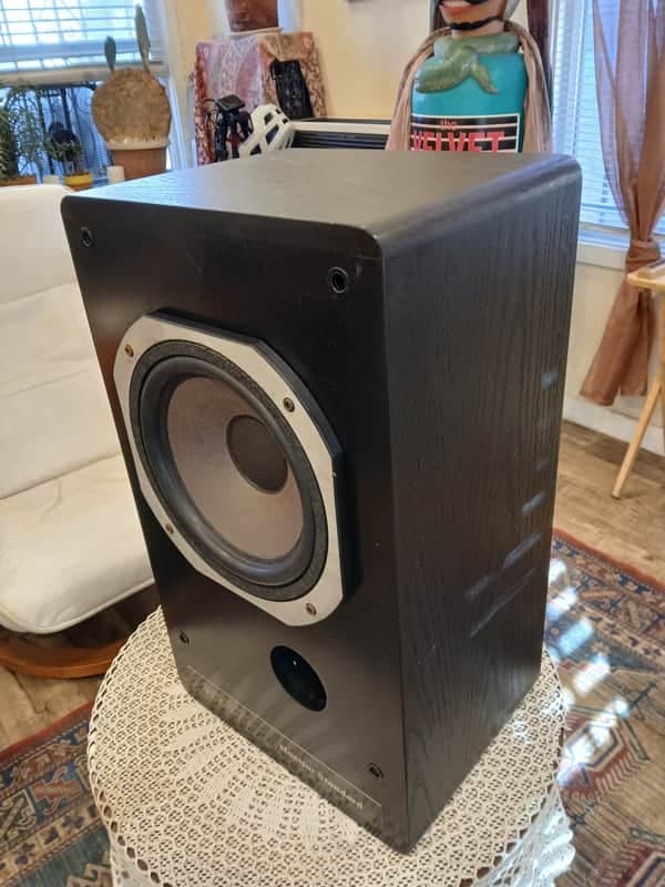 RADIAN Audio Engineering MS-10 Monitors