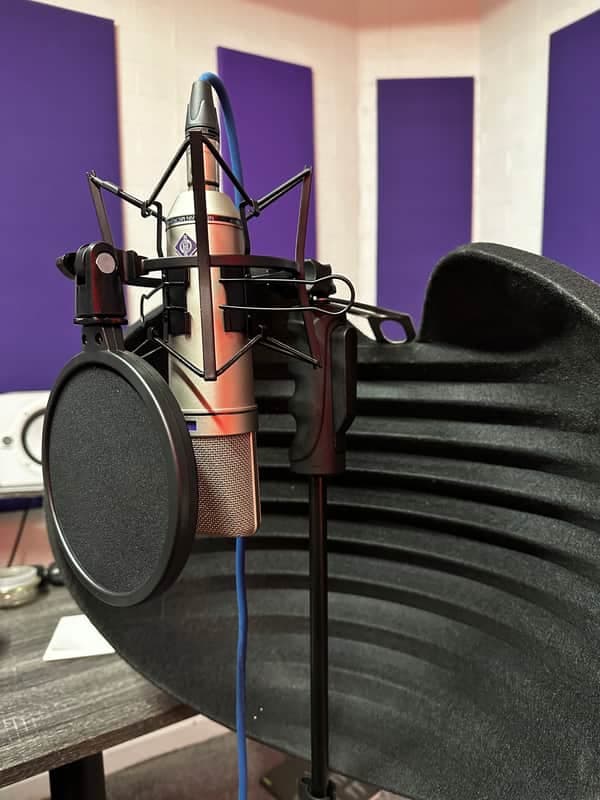 Neumann U 87 Ai Large Diaphragm Multipattern Condenser Microphone 1986 - Present - Nickel