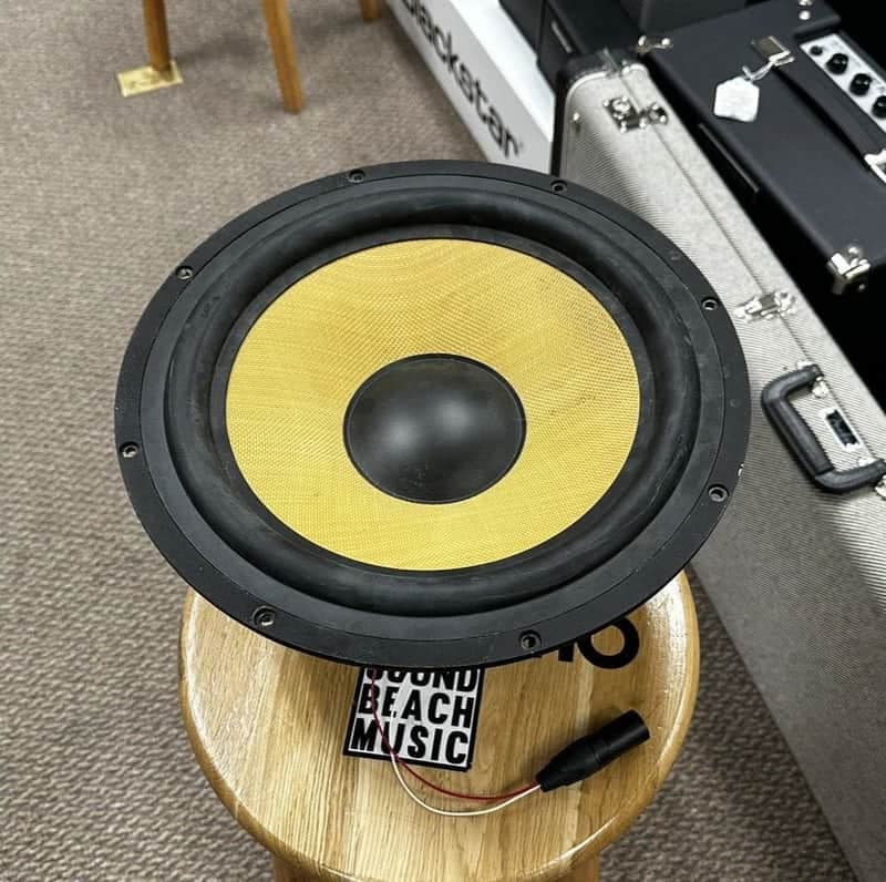 12" Raw Speaker Converted/Turned To Microphone