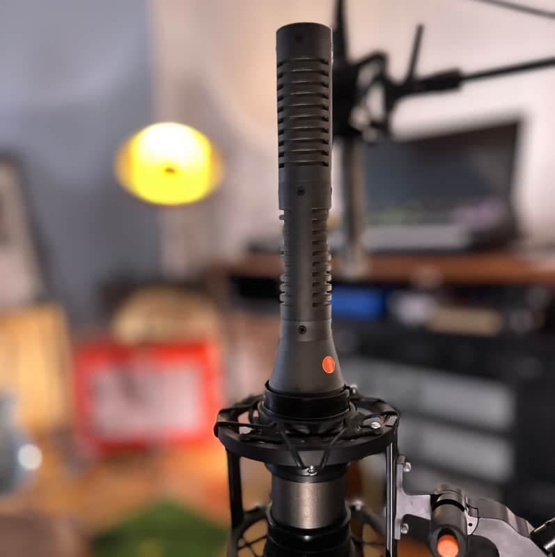 Royer SF-24 Stereo Active Ribbon Microphone 2010s - Black