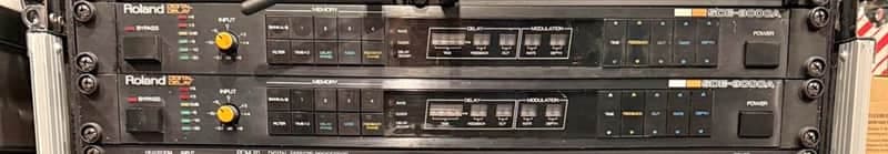 ( SINGLE ) Roland SDE-3000A Digital Delay - Very Good condition