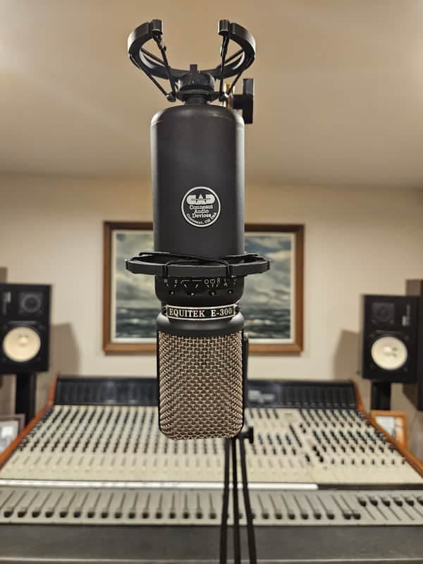 CAD Equitek E300 Large Diaphragm Multipattern Condenser Microphone 1990s - Black