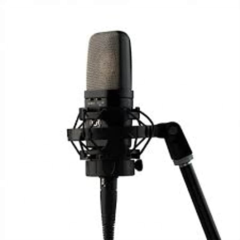 Warm Audio WA-14 Large-Diaphragm Condenser Microphone (Demo, minor marks)