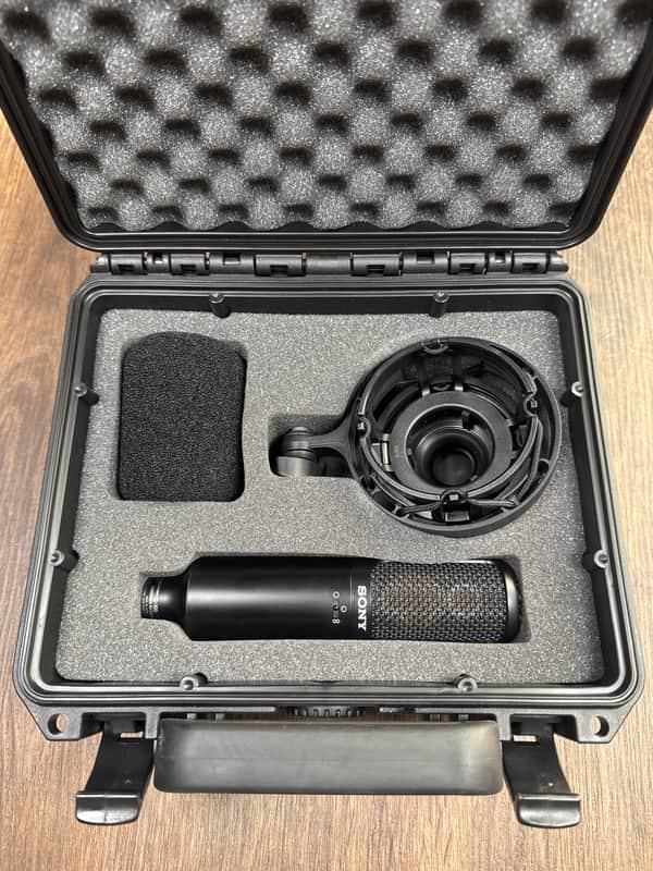 Sony C-100 Hi-Res Dual Capsule Condenser Microphone 2010s - Black
