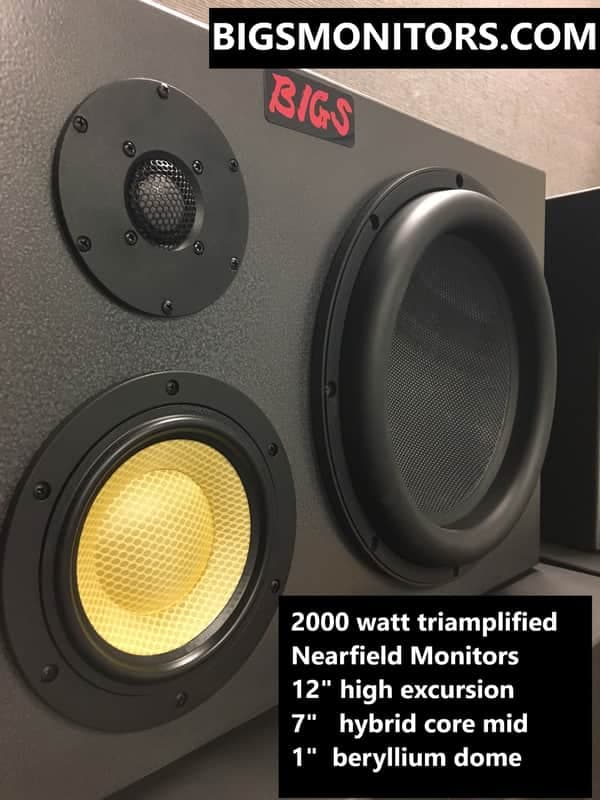 BIGS nearfield monitors 2000 watts triamplified