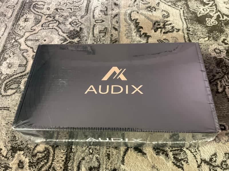Mint Audix A131 Large Diaphragm Condenser Microphone