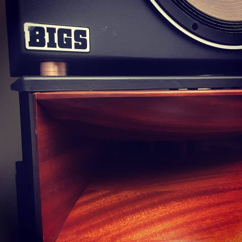 BIGS TAD Studio Monitors - Mahogany