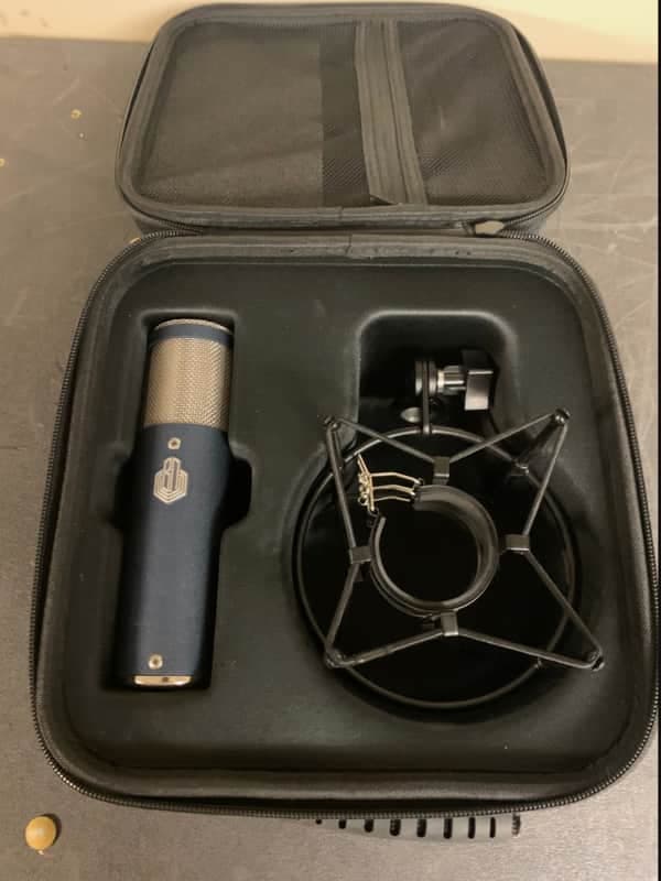 BeesNeez Microphones Elly - U47 Fet