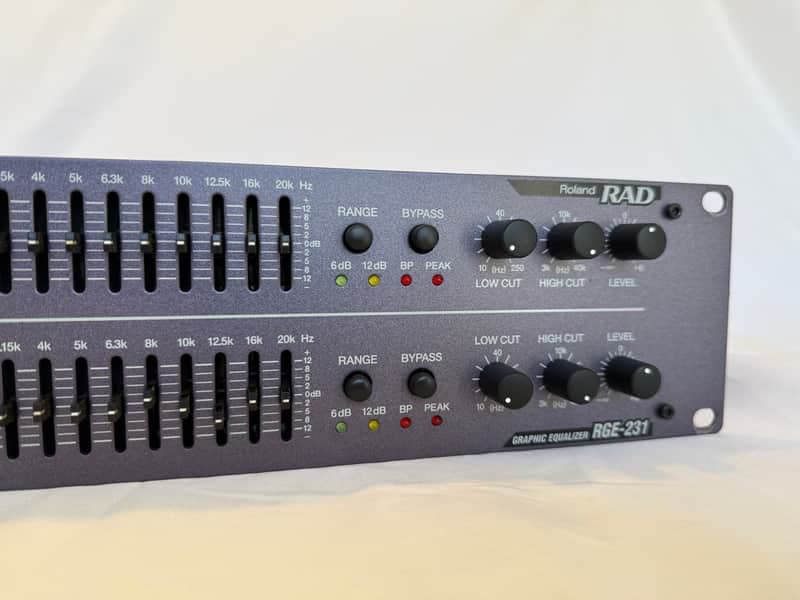 Roland RGE-231 1996 - Glitter Purple (EQ-231)
