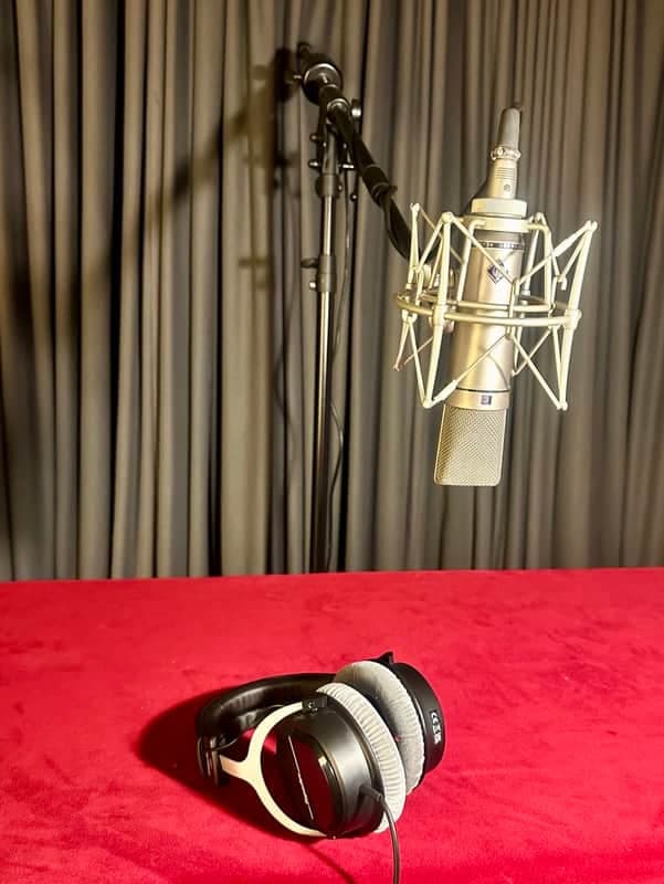 Neumann U 89 i Large Diaphragm Multipattern Condenser Microphone 1990 - Present - Nickel
