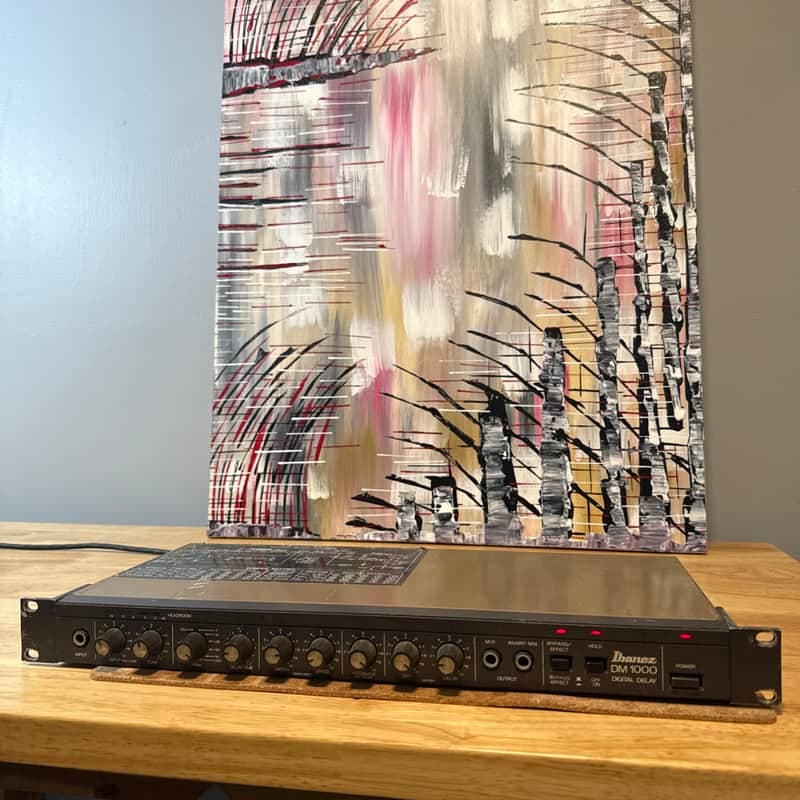 Vintage Ibanez Japan DM-1000 Digital Delay Rack Mount Guitar PA Effects Japan