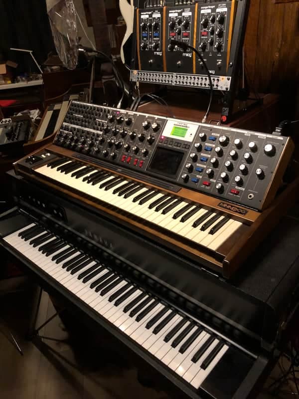 Moog Minimoog Voyager XL 61-Key Monophonic Synthesizer 2010 - Black with Wood Cabinet