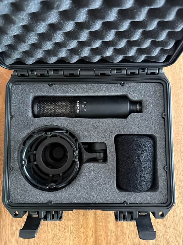 Sony C-100 Hi-Res Dual Capsule Condenser Microphone 2010s - Black