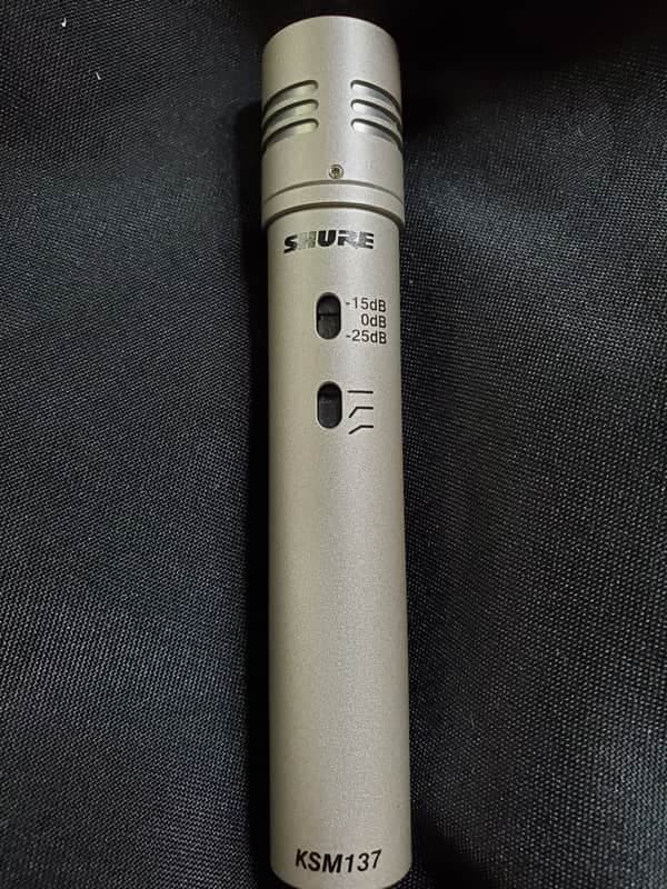 Shure KSM137 / SL 2010 - Present - Champagne