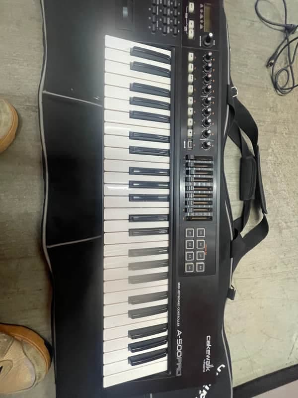 Roland A-500PRO 49-Key MIDI Keyboard Controller 2010 - Present - Black