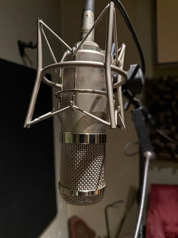 Peluso Microphones 22 47 2010s - Nickel