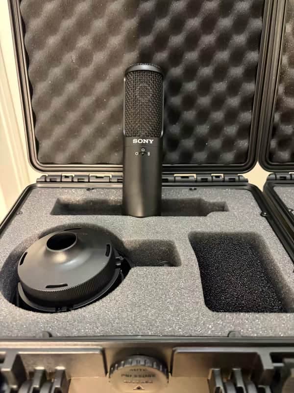 Sony C-100 Hi-Res Dual Capsule Condenser Microphone 2010s - Black